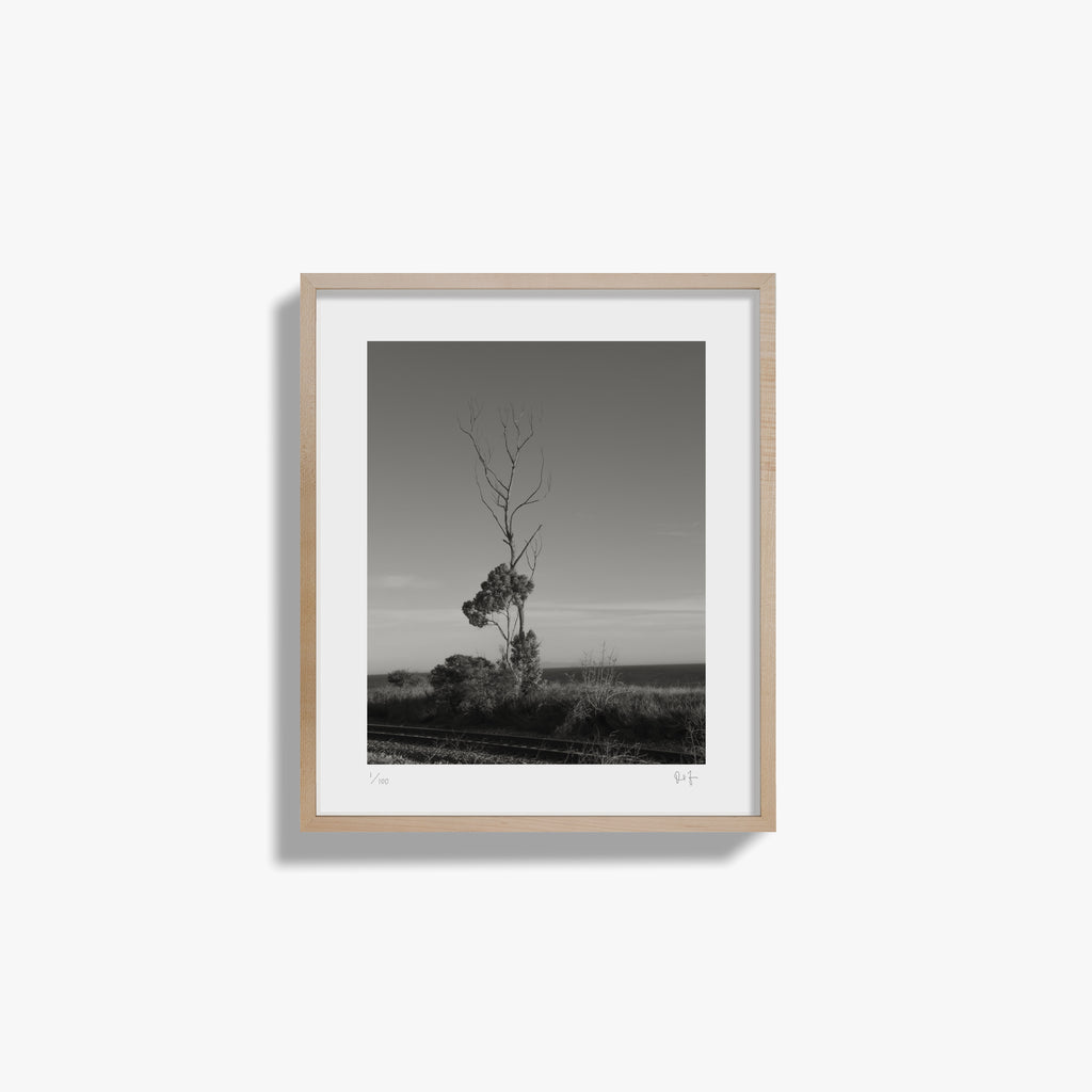 At the Edge of the World II