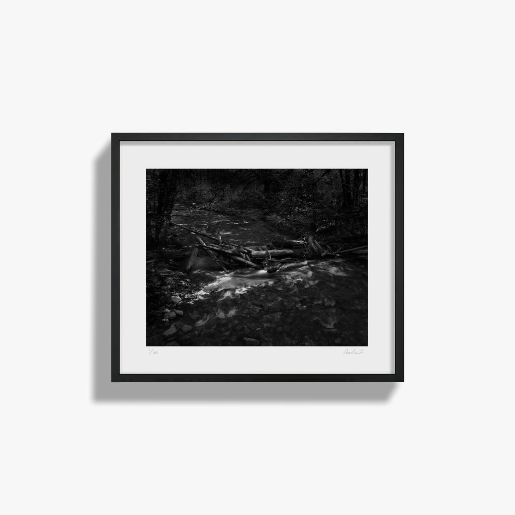 In the Forest II