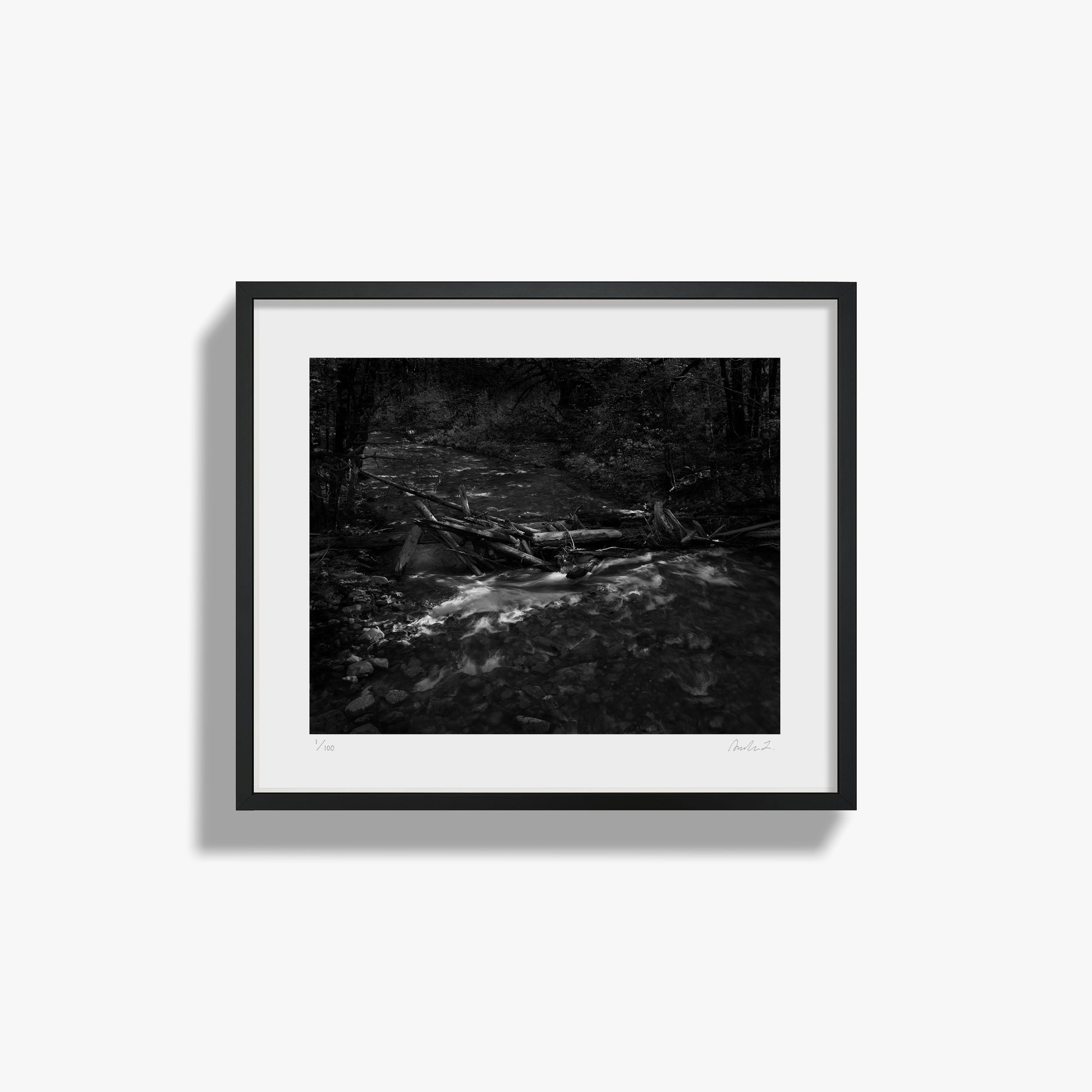 In the Forest II