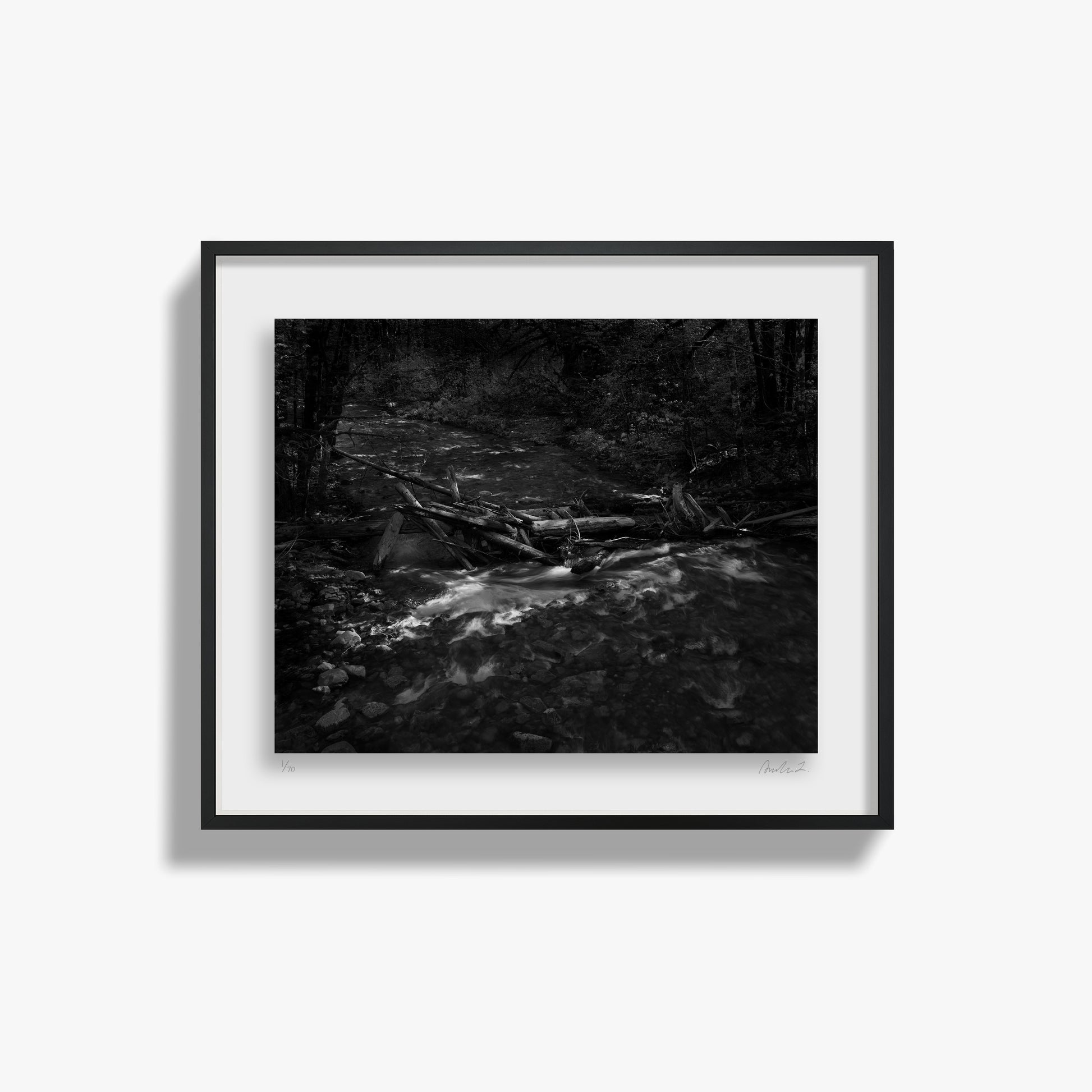 In the Forest II