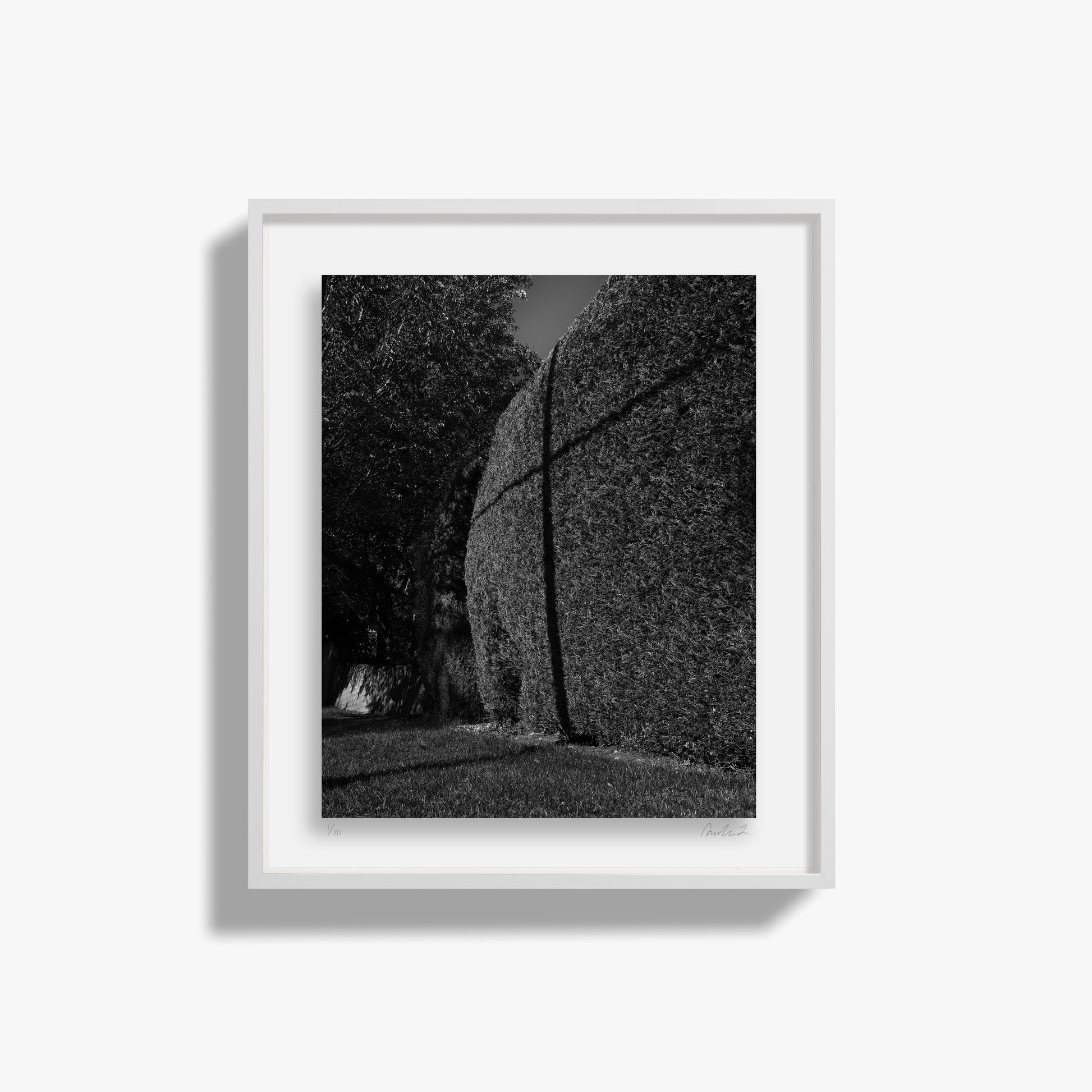 The Hidden Cross