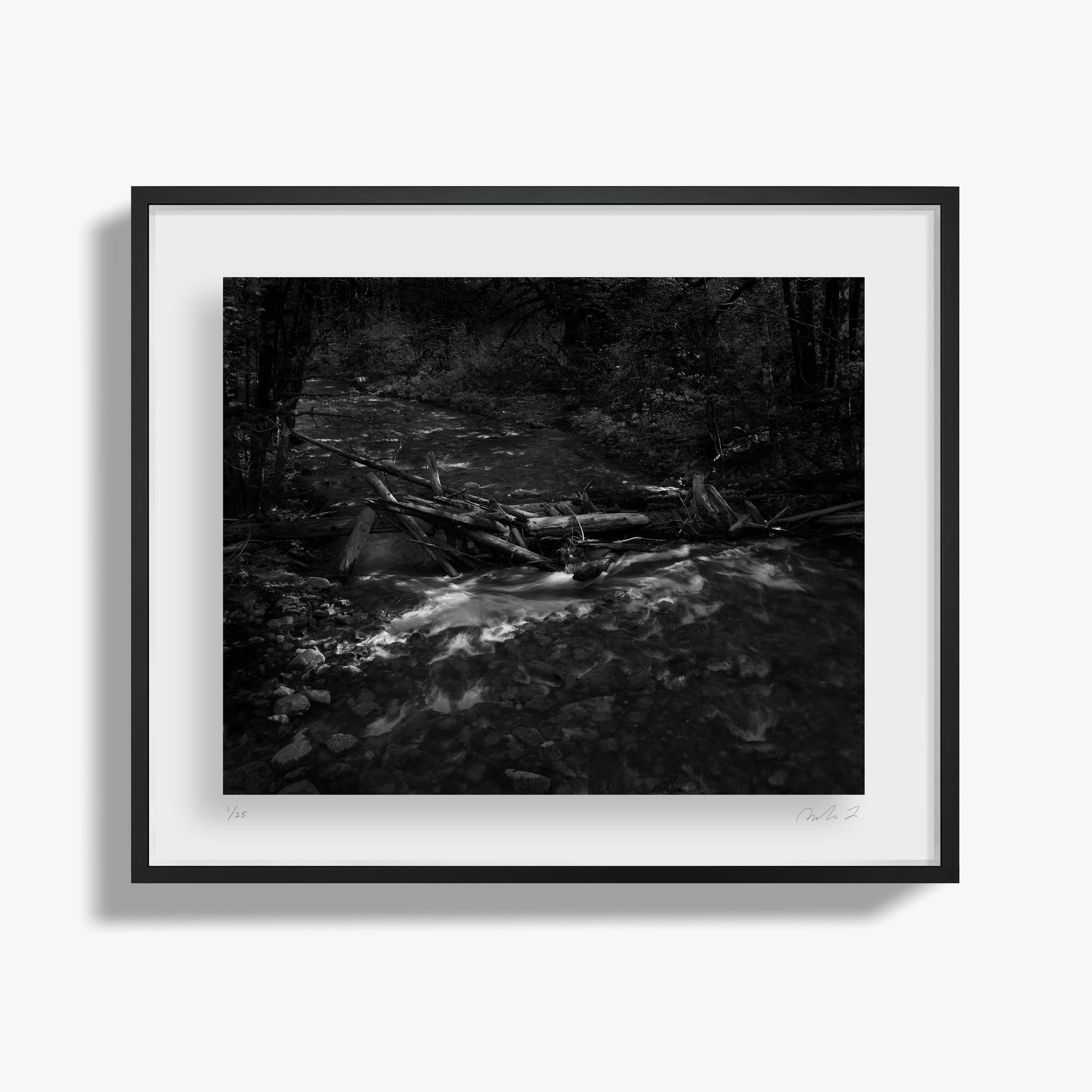 In the Forest II
