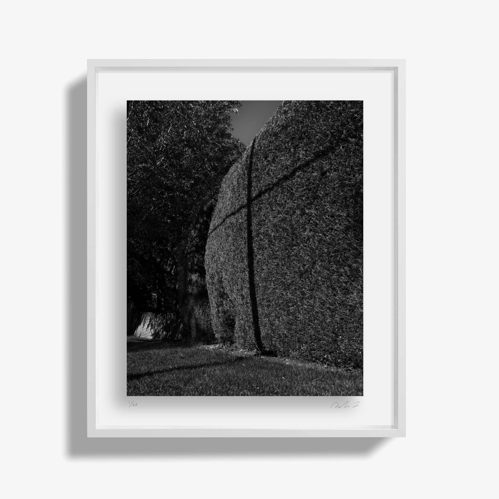 The Hidden Cross