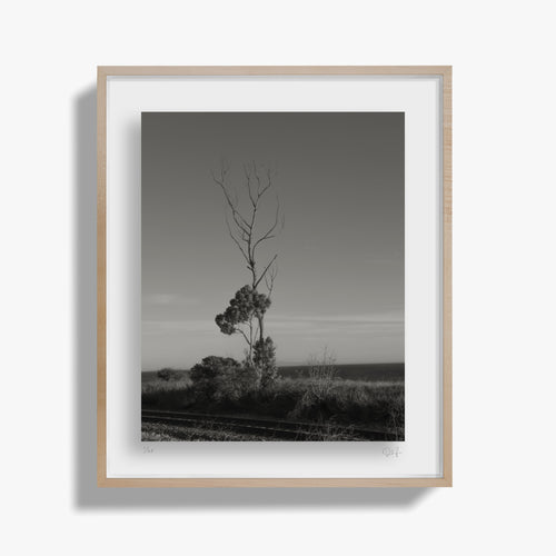 At the Edge of the World II