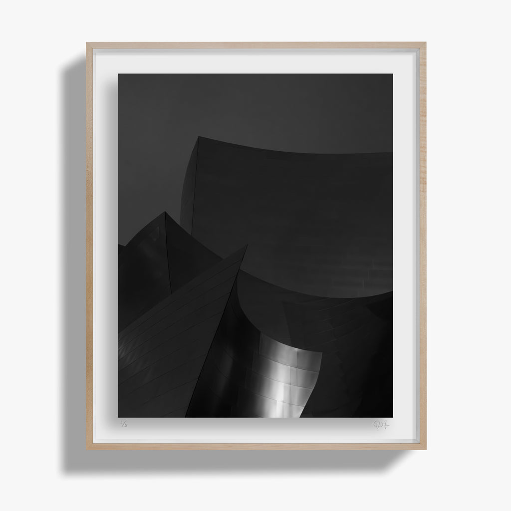 Architecture, Walt Disney Concert Hall