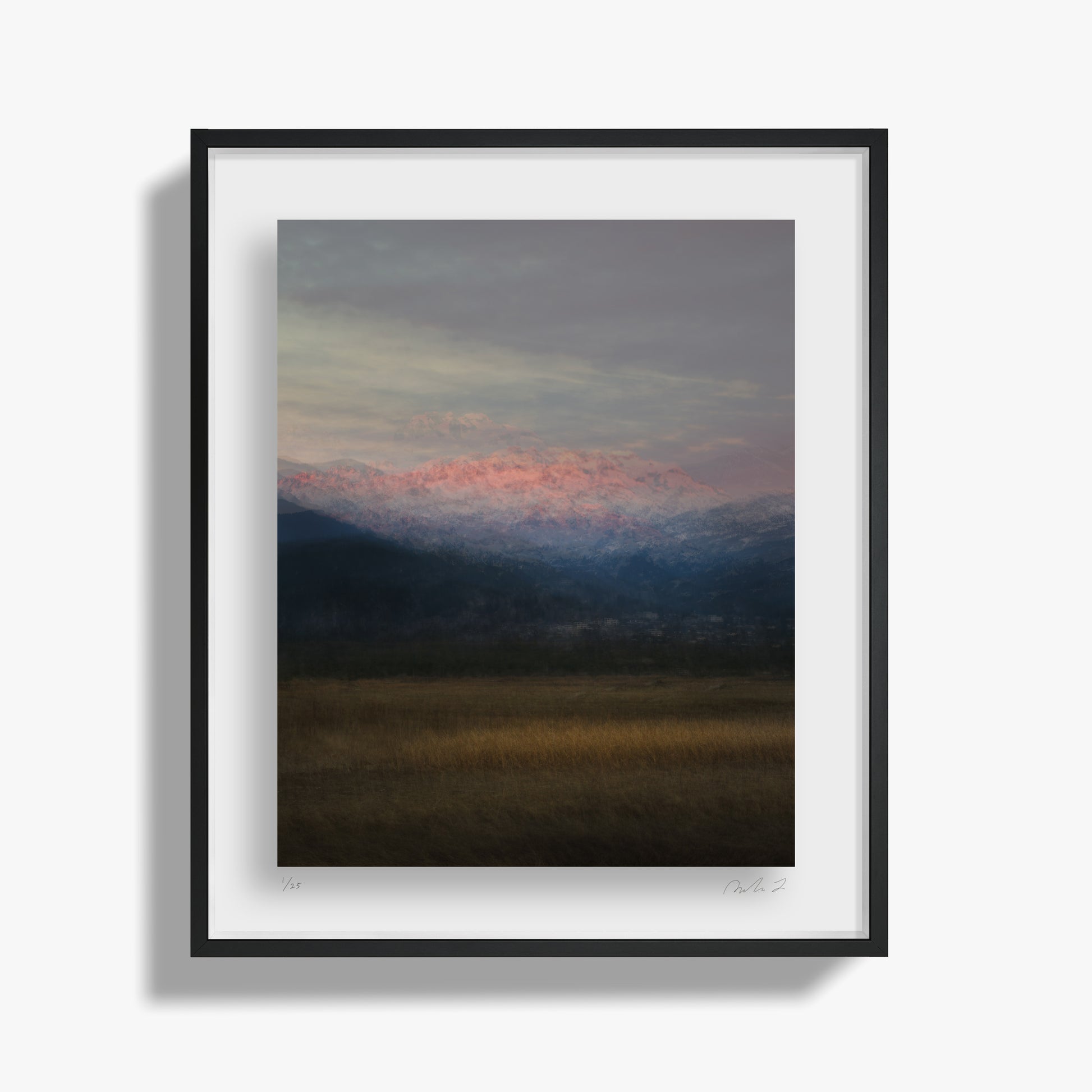 Oil Painting Study II
