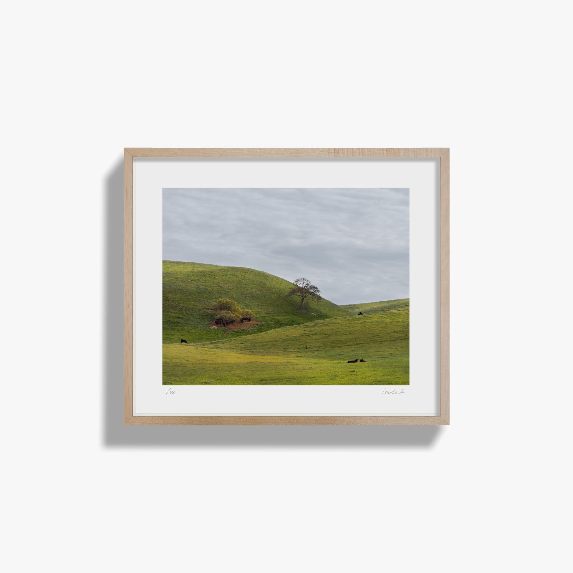 Life, Rolling Hills II