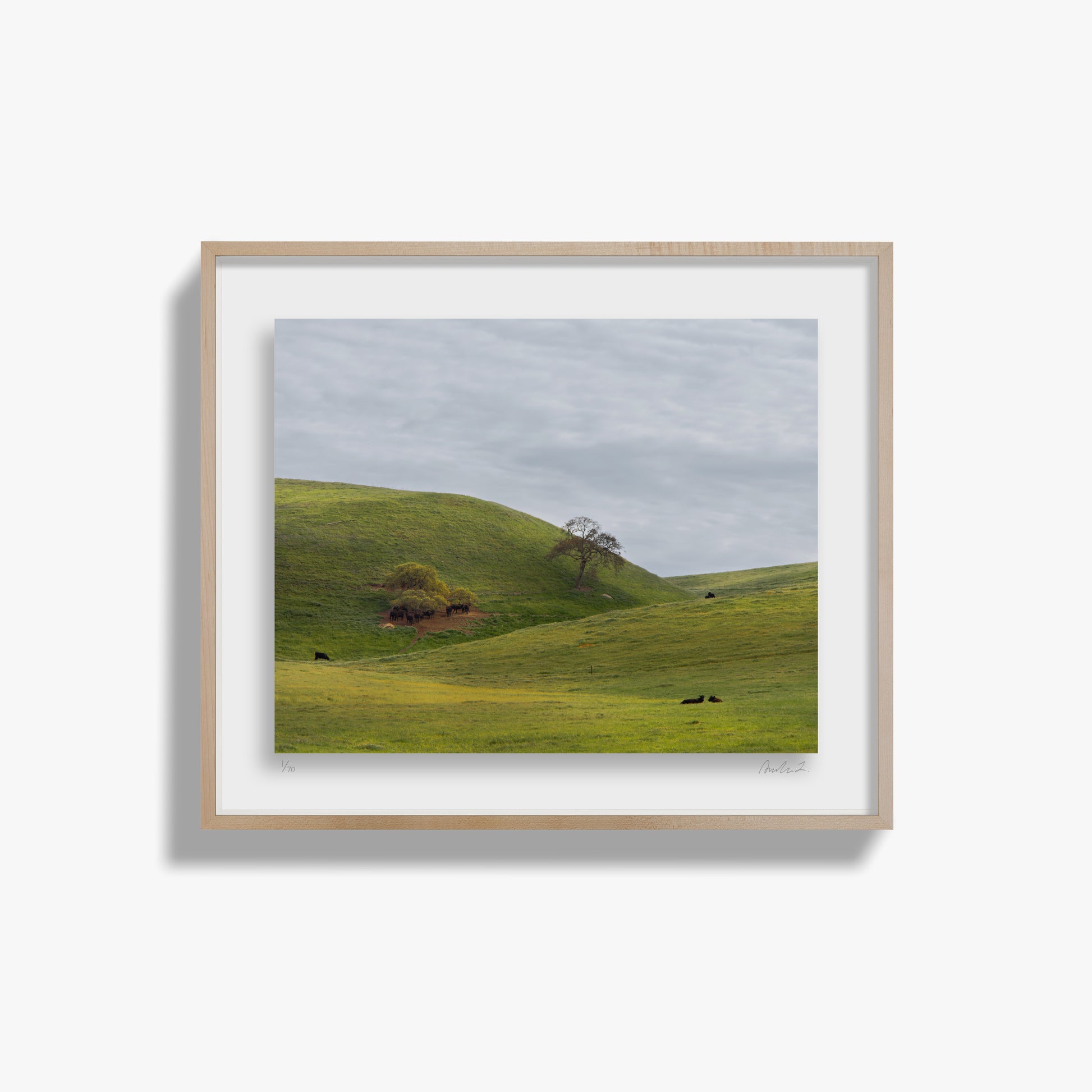 Life, Rolling Hills II