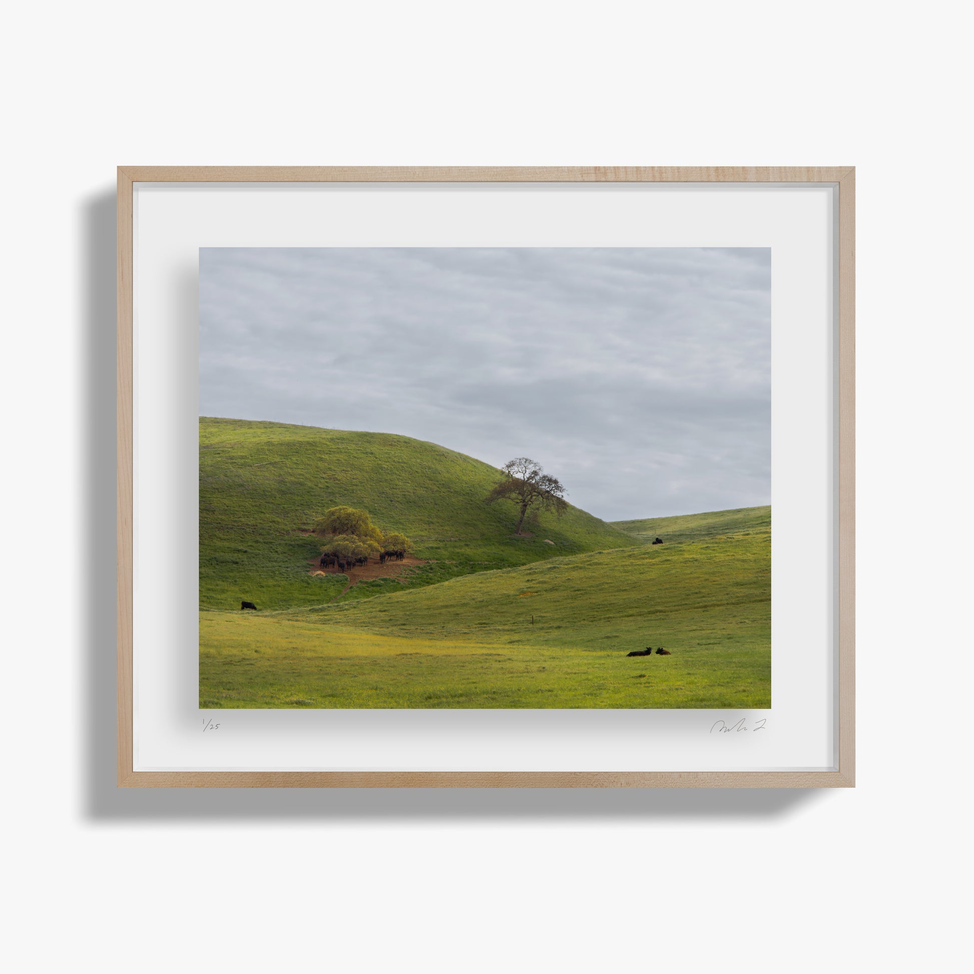 Life, Rolling Hills II