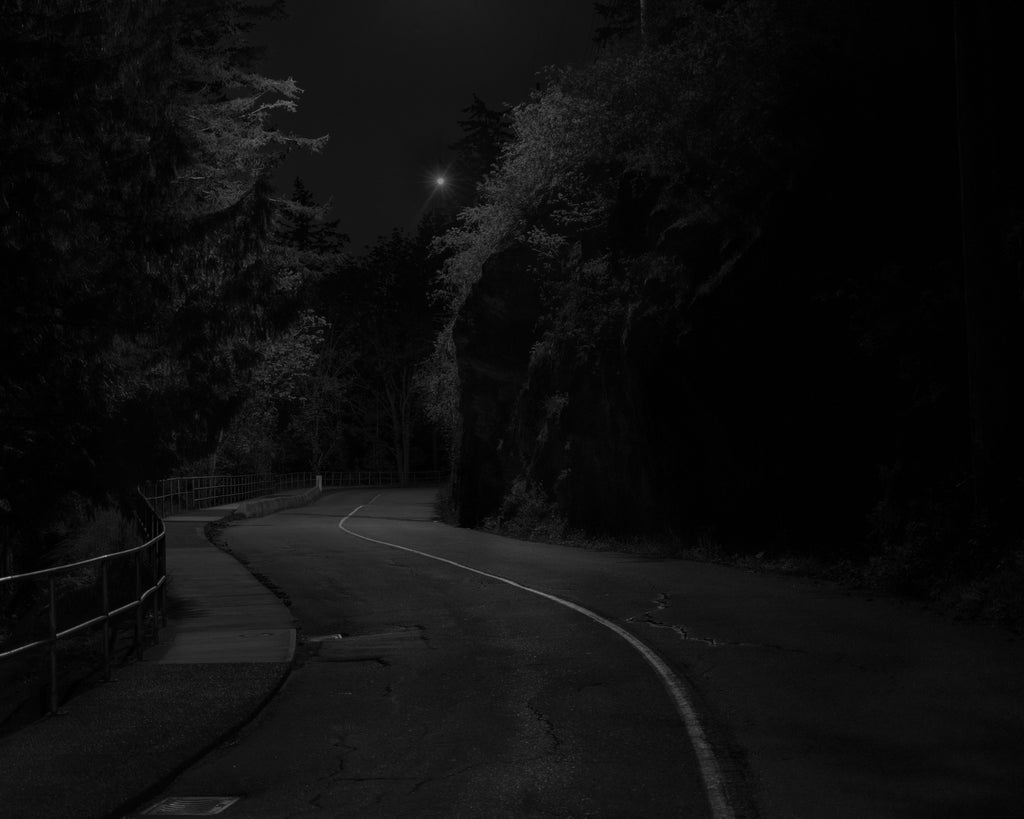 The Way Home