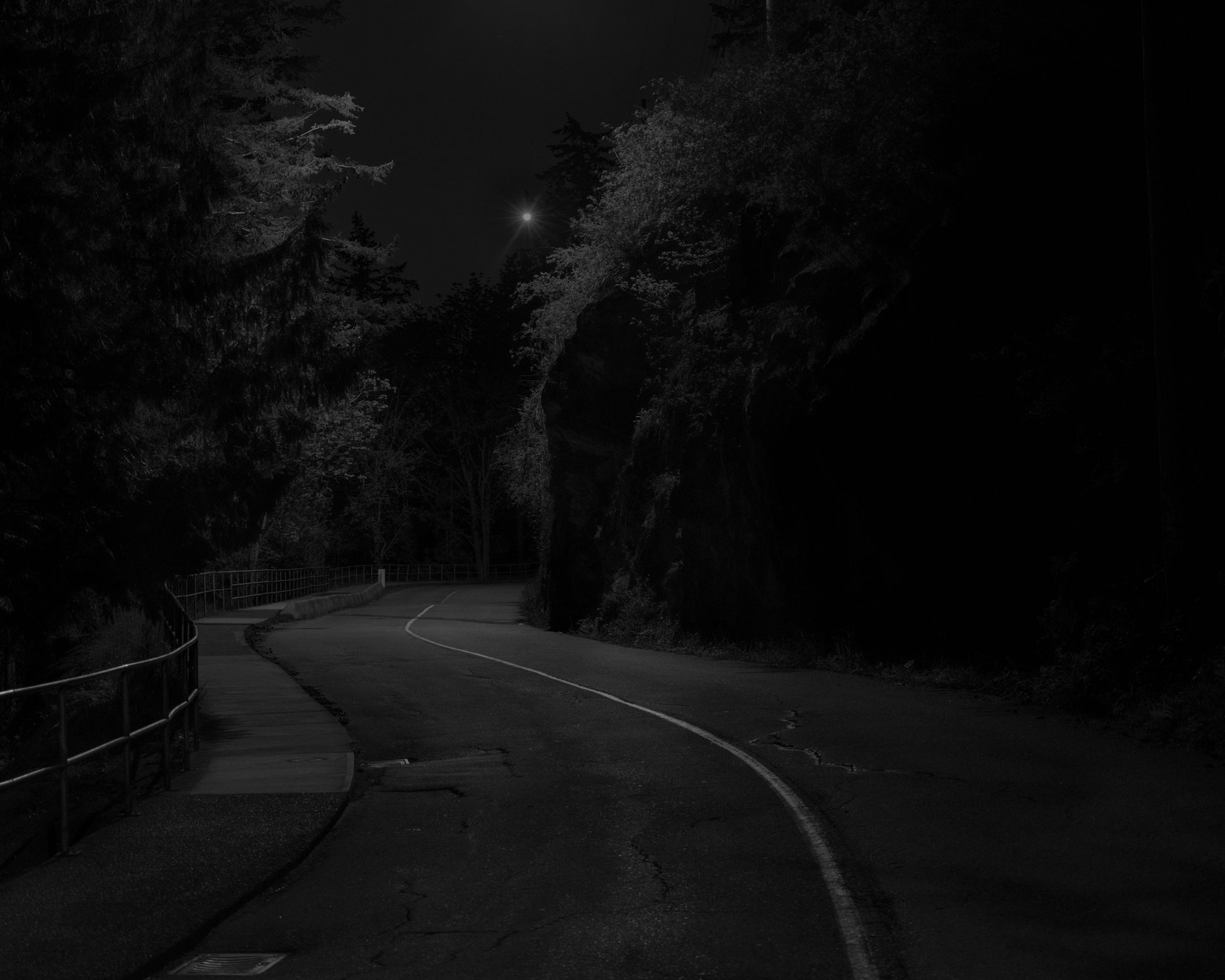 The Way Home