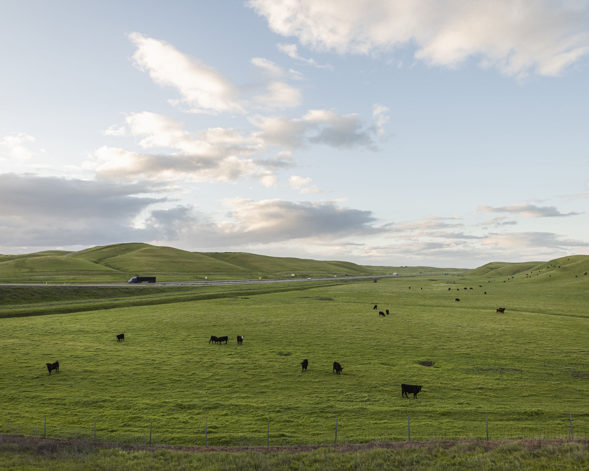 Life, Rolling Hills III