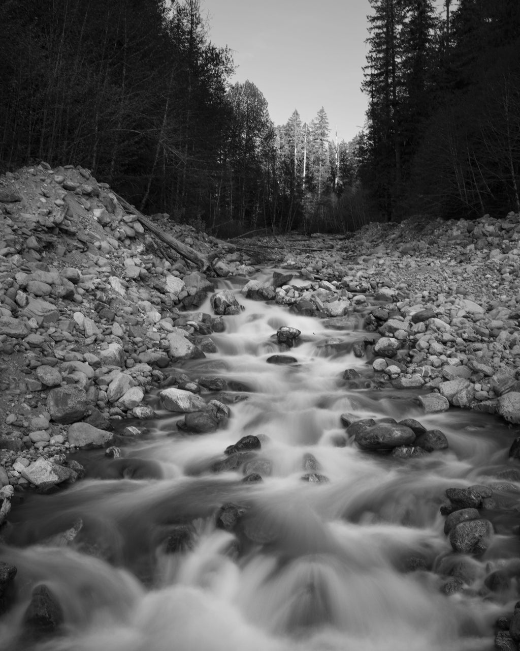 Stream VII