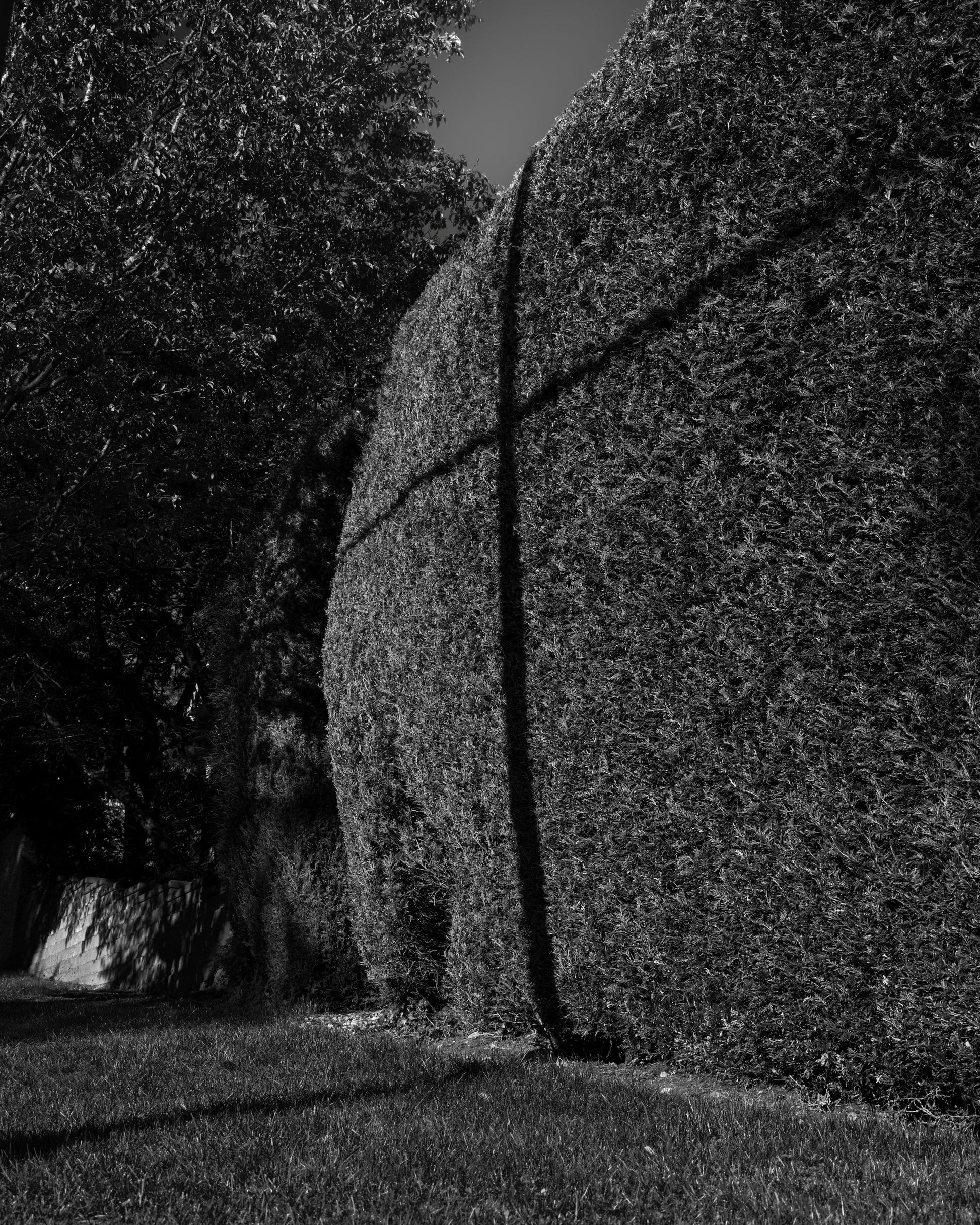 The Hidden Cross