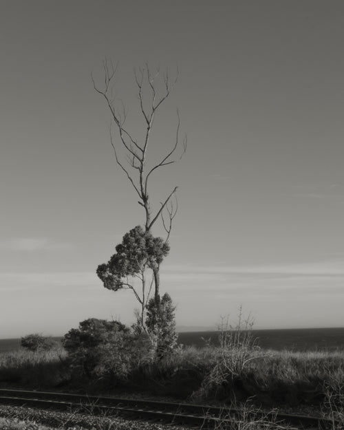 At the Edge of the World II