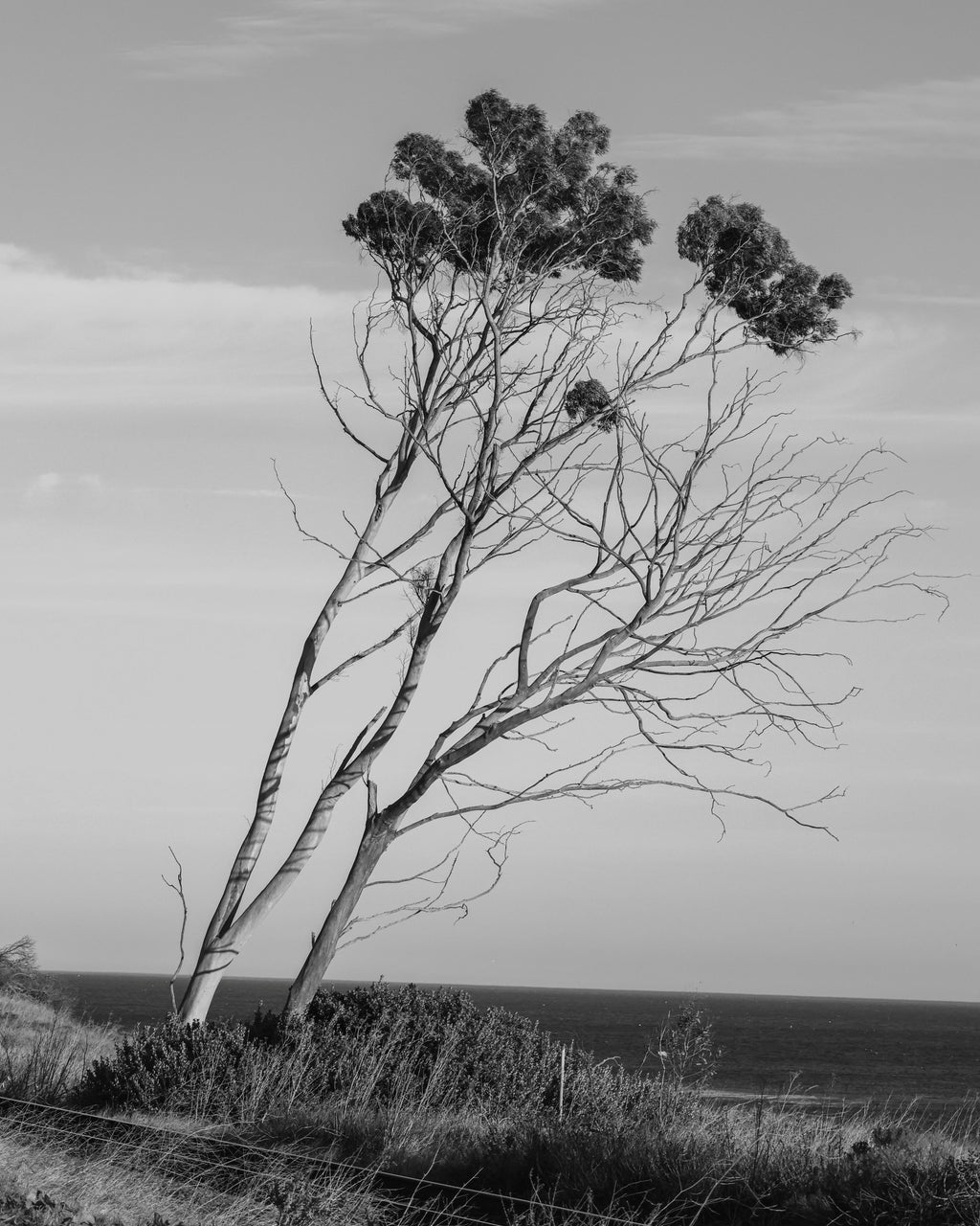 At the Edge of the World I